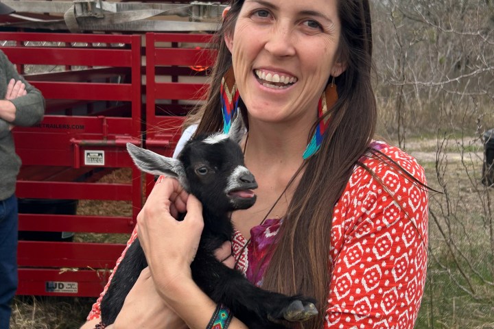 a person holding a goat